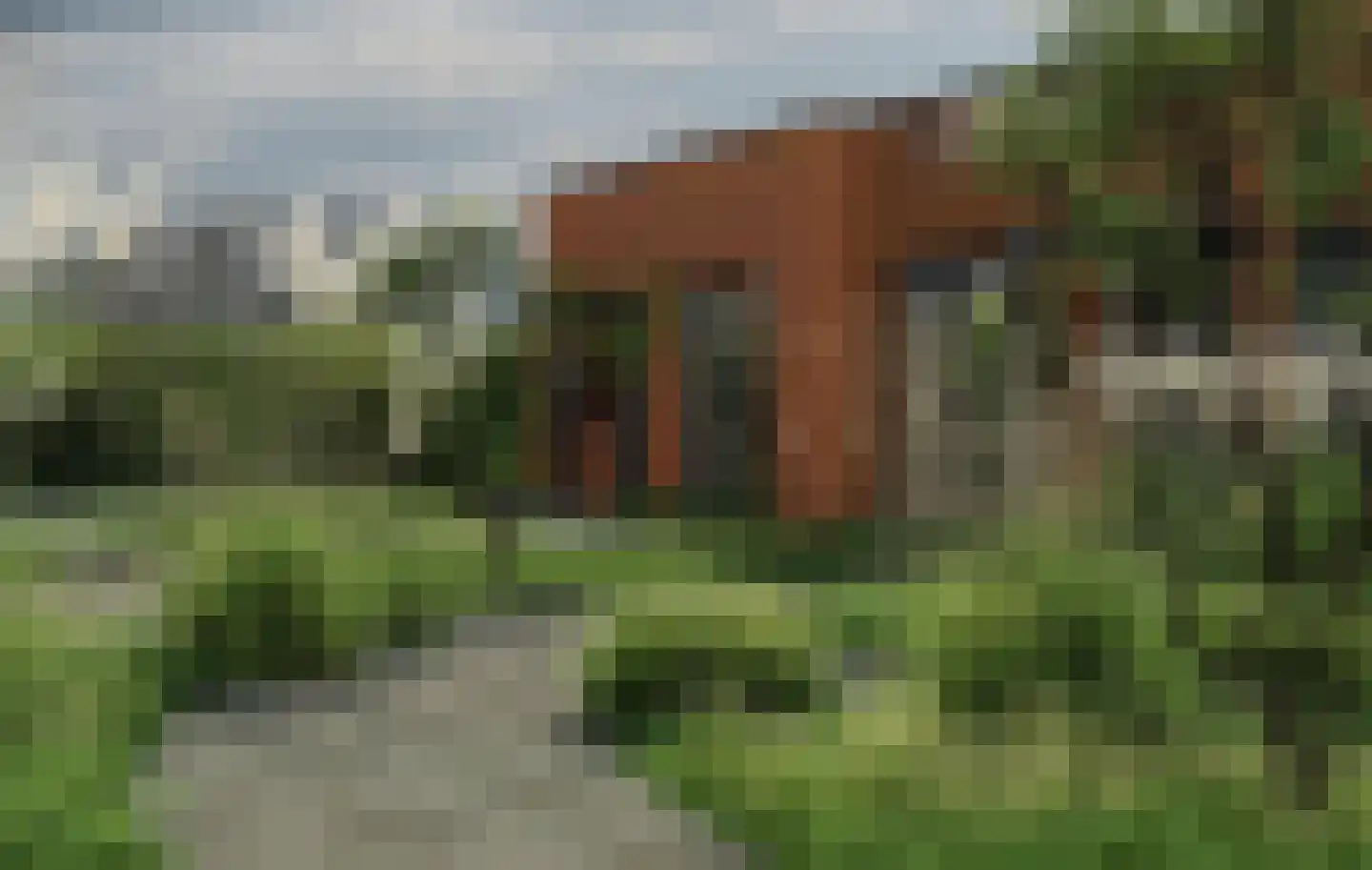 Heindertweg 5 Aarle-Rixtel thumbnail 12