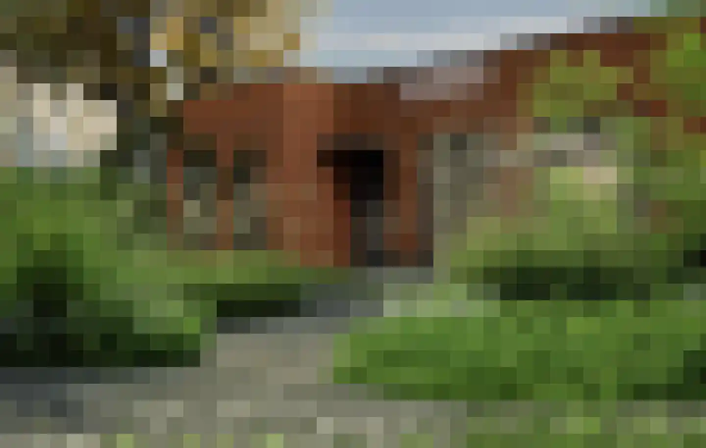 Heindertweg 5 Aarle-Rixtel thumbnail 14