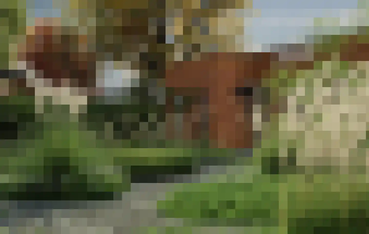 Heindertweg 5 Aarle-Rixtel thumbnail 5