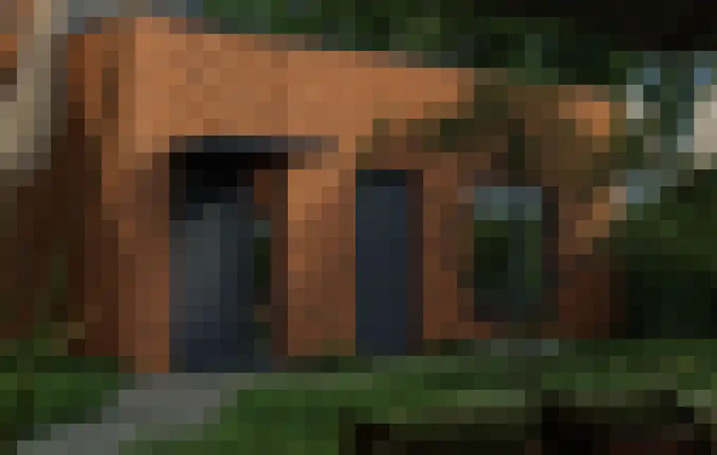 Heindertweg 5 Aarle-Rixtel thumbnail 6