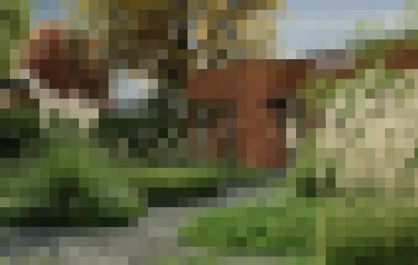 Heindertweg 7 Aarle-Rixtel thumbnail 5