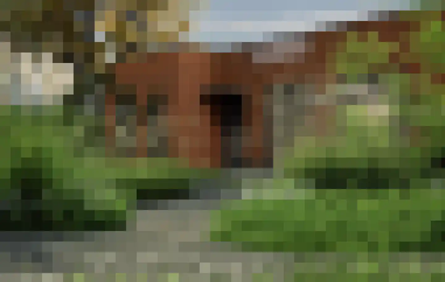 Heindertweg 9 Aarle-Rixtel thumbnail 14