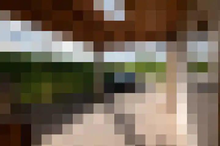 Heindijk 15 a Oostvoorne thumbnail 10