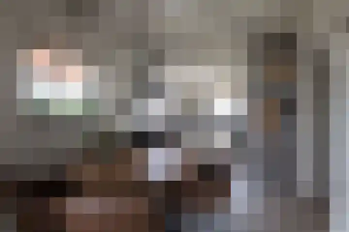 Heindijk 15 a Oostvoorne thumbnail 11