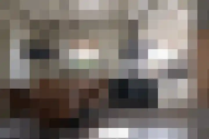 Heindijk 15 a Oostvoorne thumbnail 12