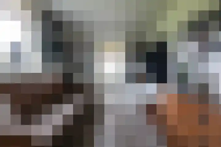 Heindijk 15 a Oostvoorne thumbnail 19