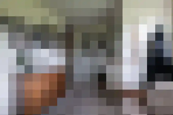 Heindijk 15 a Oostvoorne thumbnail 20