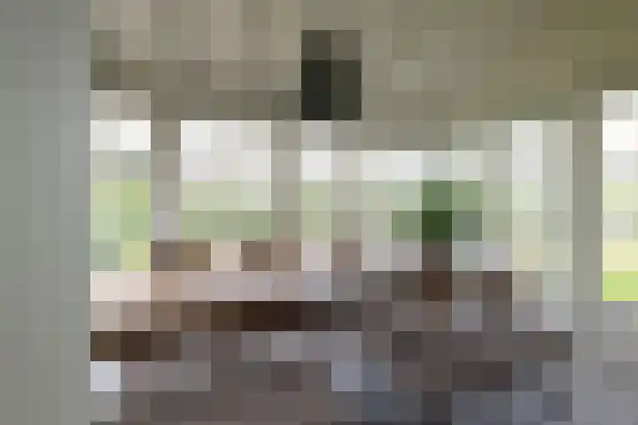 Heindijk 15 a Oostvoorne thumbnail 23