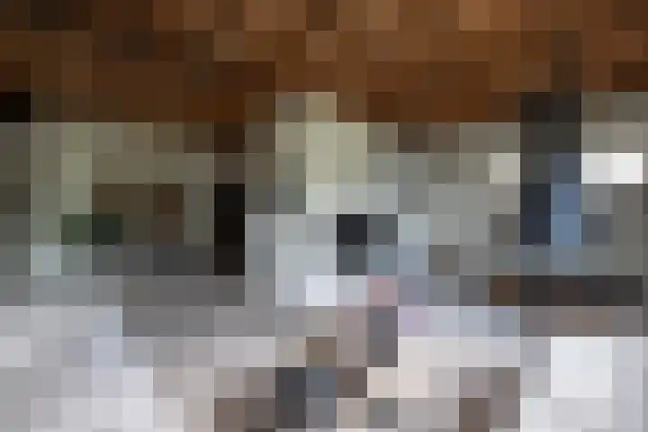 Heindijk 15 a Oostvoorne thumbnail 26