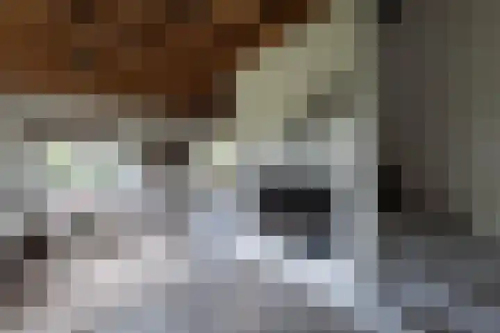 Heindijk 15 a Oostvoorne thumbnail 28