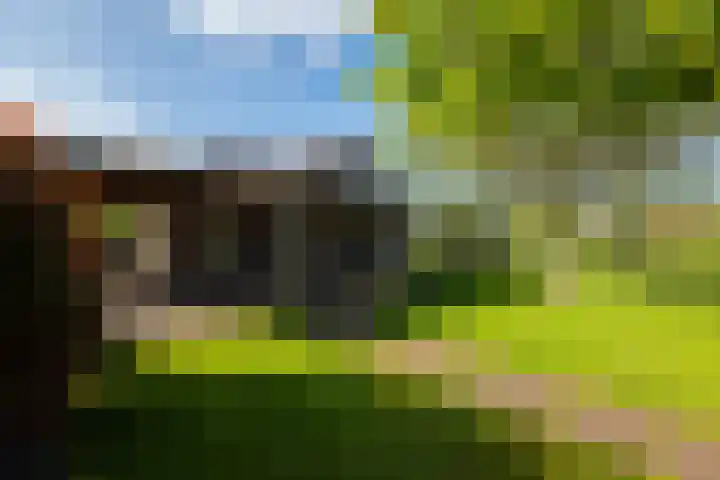 Heindijk 15 a Oostvoorne thumbnail 42