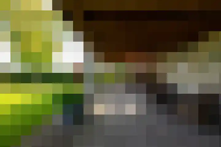Heindijk 15 a Oostvoorne thumbnail 44