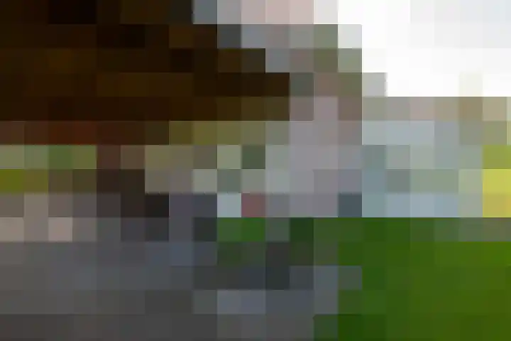 Heindijk 15 a Oostvoorne thumbnail 45