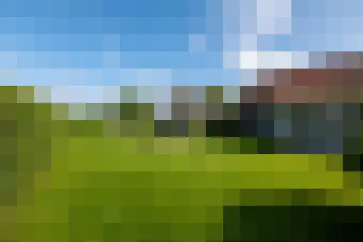 Heindijk 15 a Oostvoorne thumbnail 46