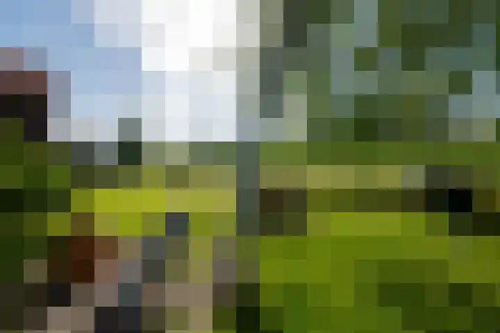 Heindijk 15 a Oostvoorne thumbnail 47