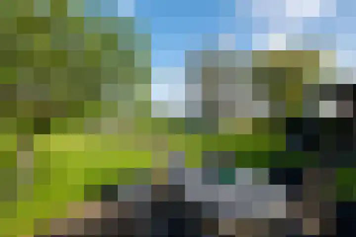 Heindijk 15 a Oostvoorne thumbnail 48
