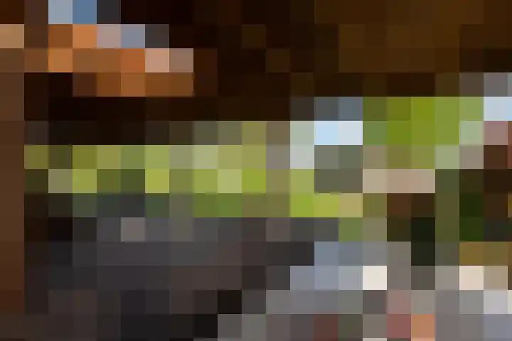 Heindijk 15 a Oostvoorne thumbnail 5