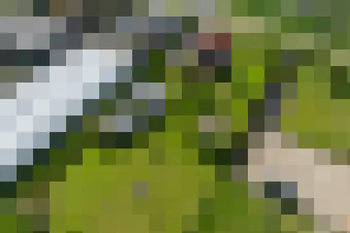 Heindijk 15 a Oostvoorne thumbnail 50