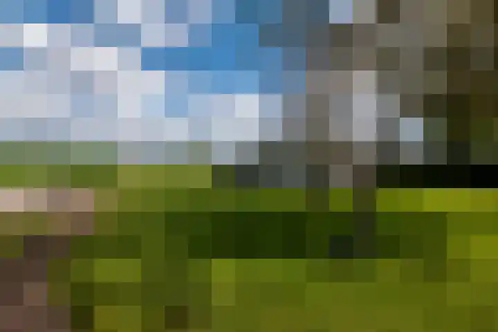 Heindijk 15 a Oostvoorne thumbnail 51