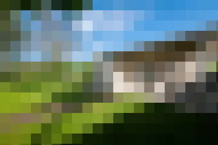 Heindijk 15 a Oostvoorne thumbnail 52