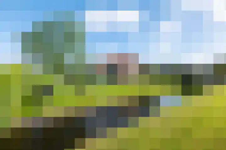 Heindijk 15 a Oostvoorne thumbnail 6