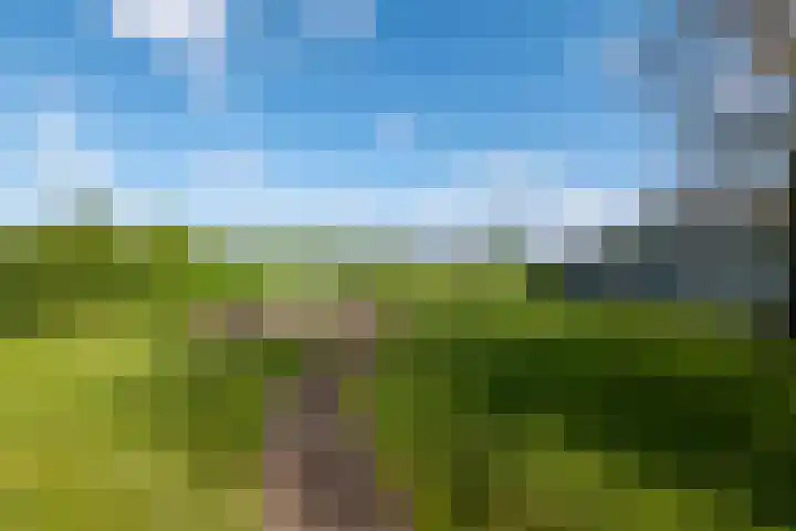 Heindijk 15 a Oostvoorne thumbnail 60