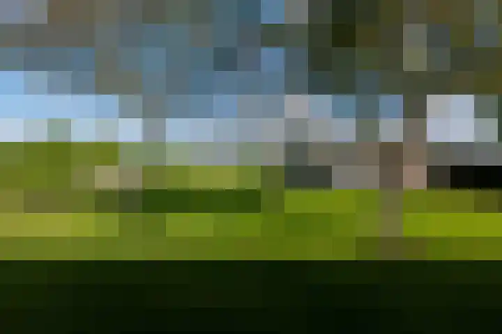 Heindijk 15 a Oostvoorne thumbnail 61
