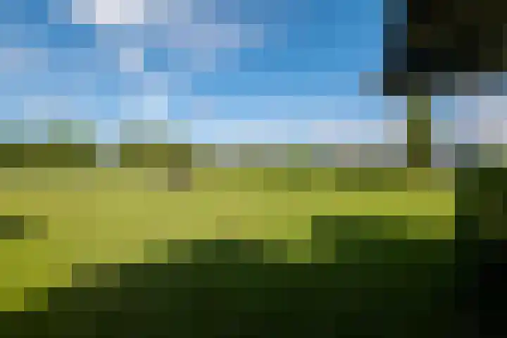 Heindijk 15 a Oostvoorne thumbnail 62