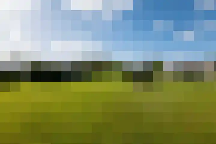 Heindijk 15 a Oostvoorne thumbnail 63