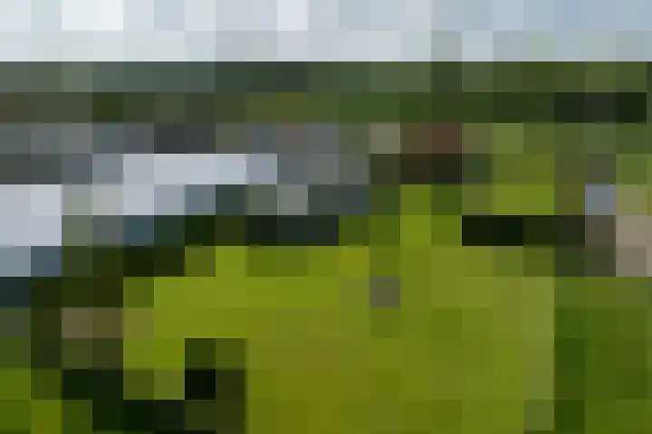 Heindijk 15 a Oostvoorne thumbnail 64