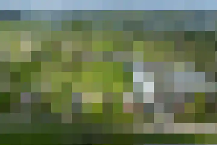 Heindijk 15 a Oostvoorne thumbnail 65