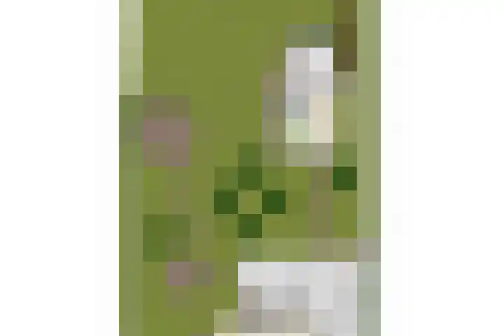 Heindijk 15 a Oostvoorne thumbnail 68