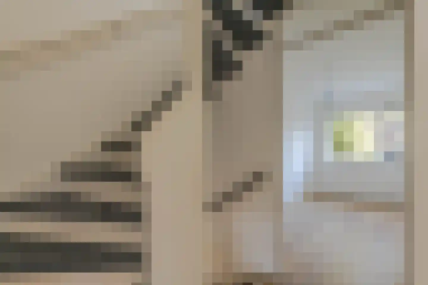 Heindijk 349 Rotterdam thumbnail 18
