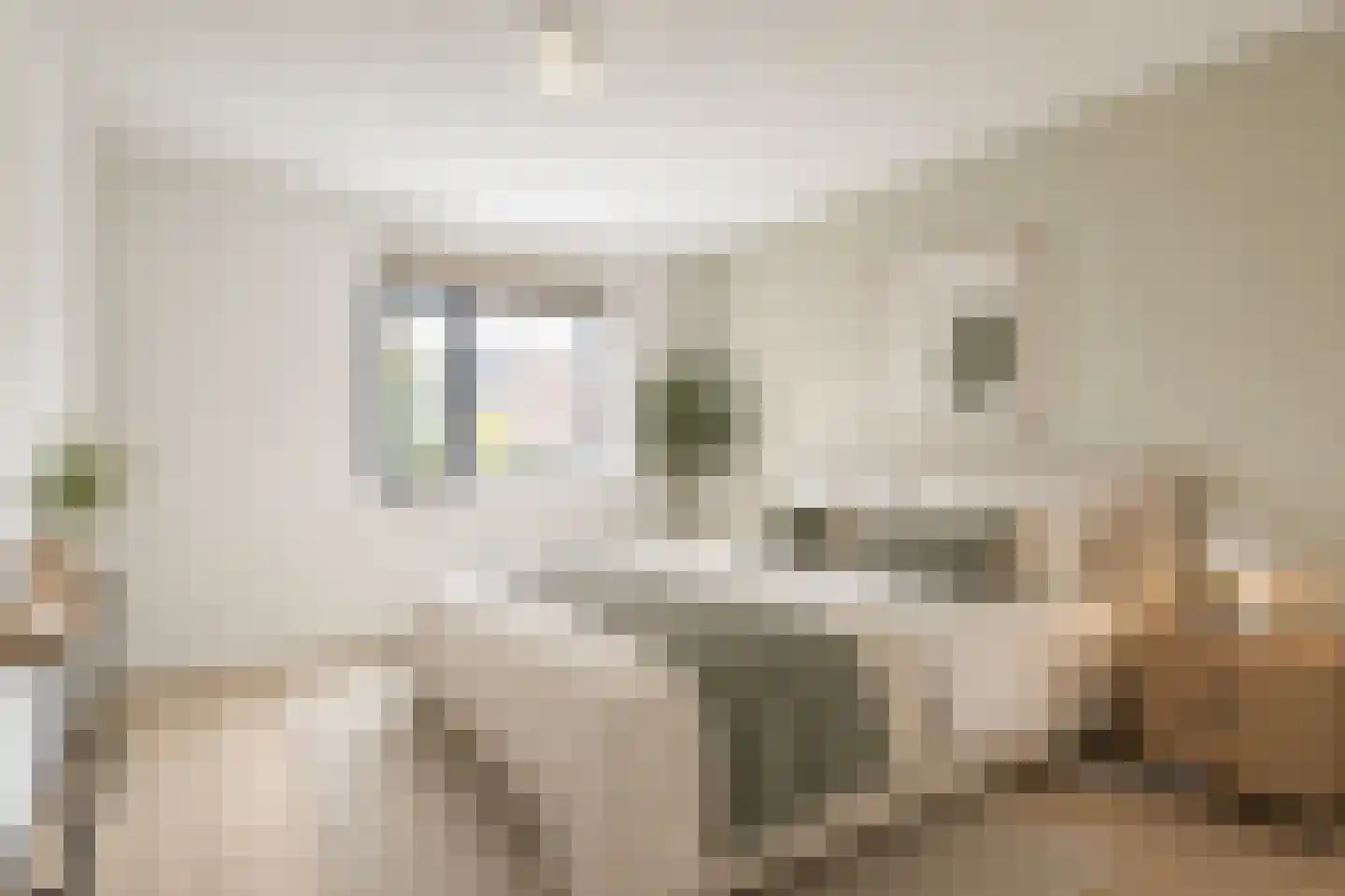 Heindijk 349 Rotterdam thumbnail 22