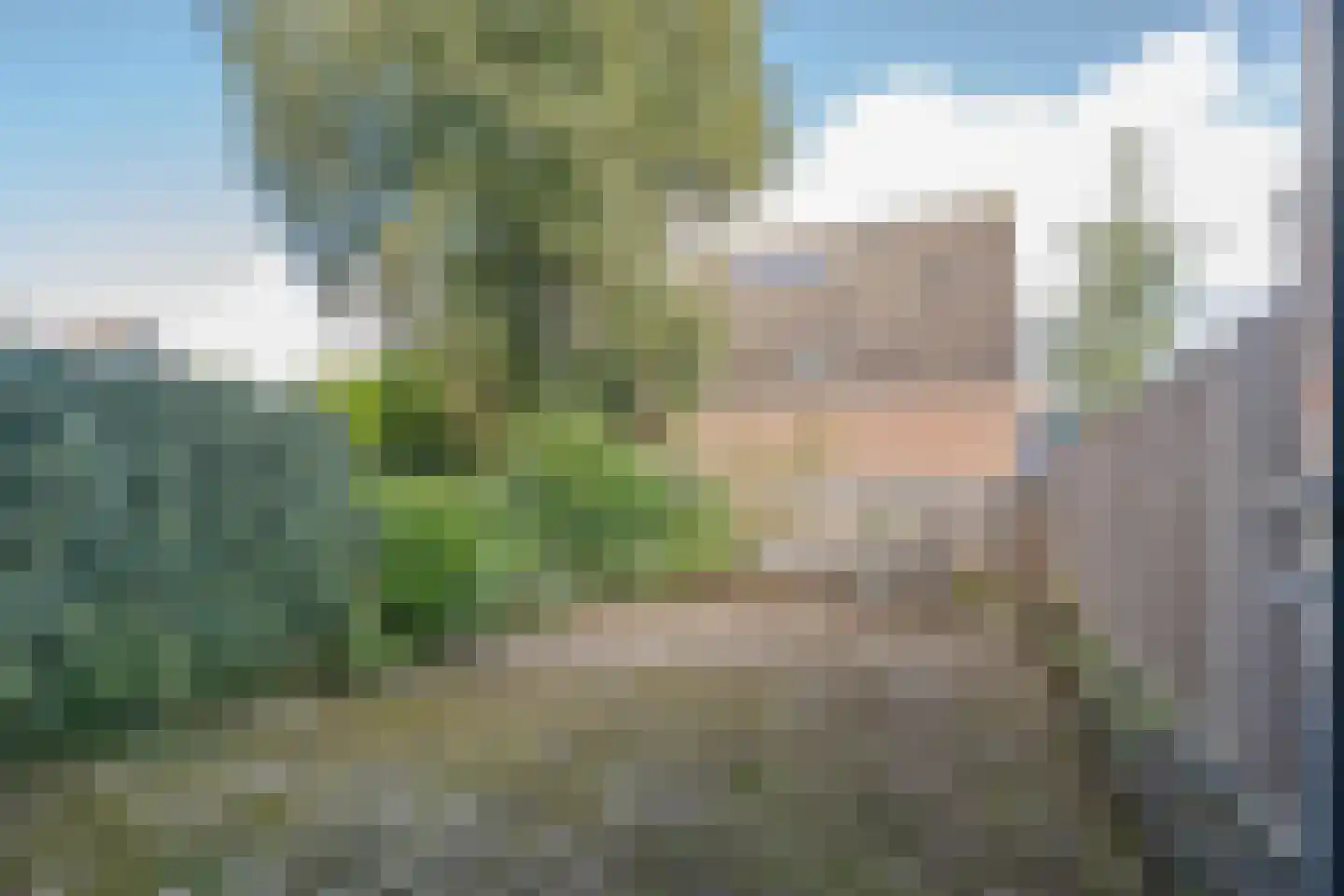 Heindijk 349 Rotterdam thumbnail 6