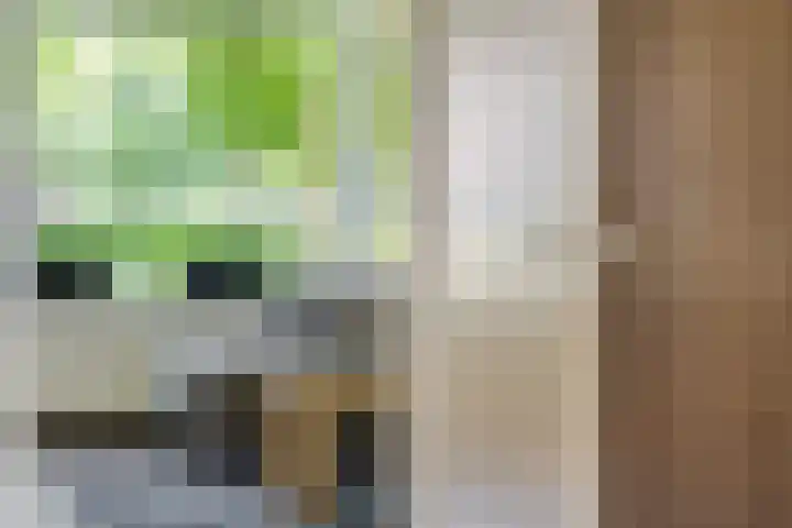 Heinelaan 8 Woudenberg thumbnail 13