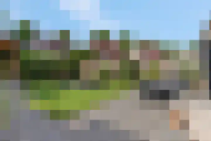 Heinelaan 8 Woudenberg thumbnail 36