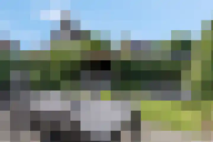 Heinelaan 8 Woudenberg thumbnail 41