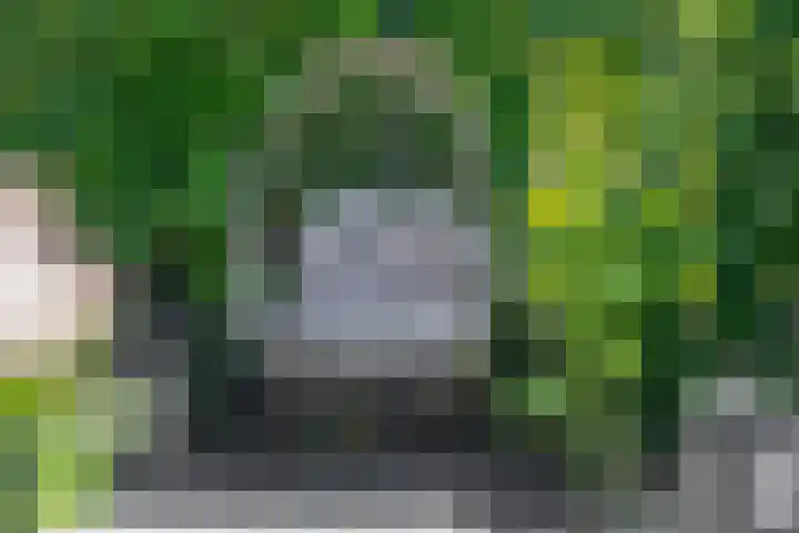 Heinelaan 8 Woudenberg thumbnail 42