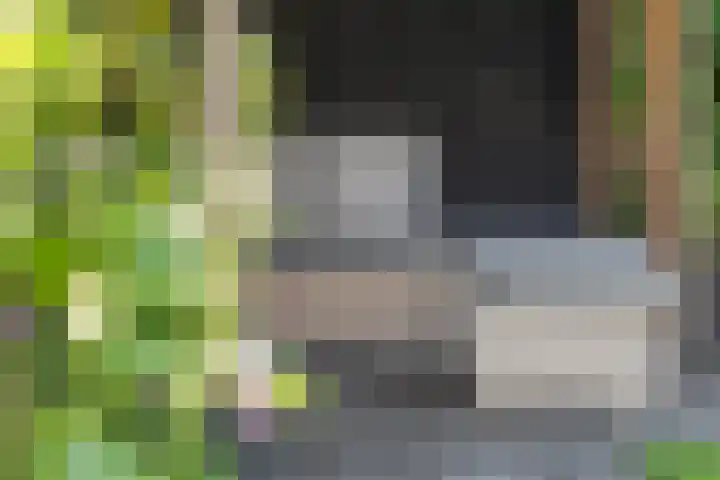 Heinelaan 8 Woudenberg thumbnail 43