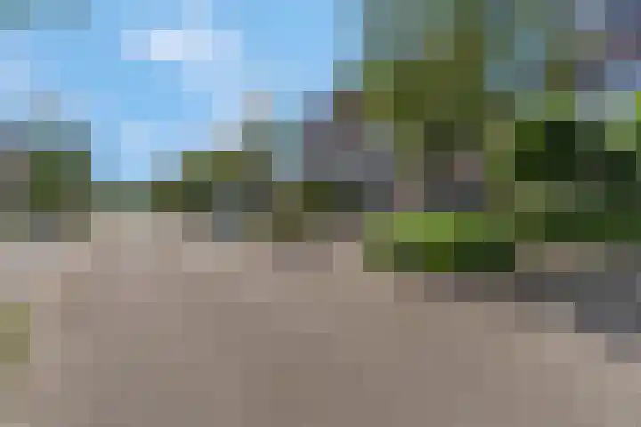 Heinelaan 8 Woudenberg thumbnail 45