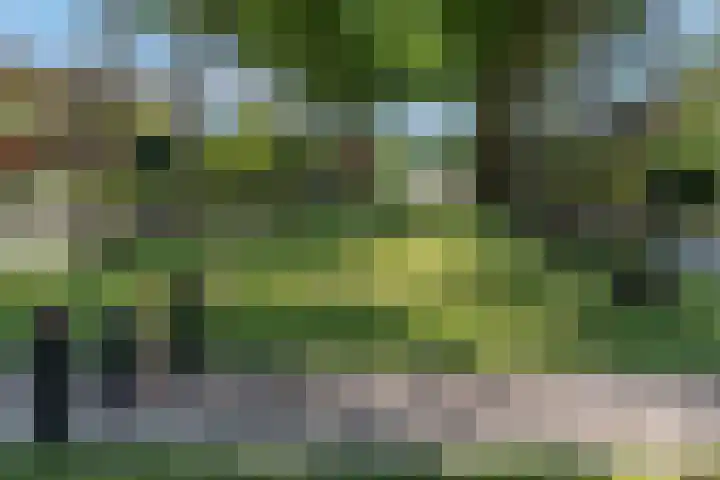 Heinelaan 8 Woudenberg thumbnail 46