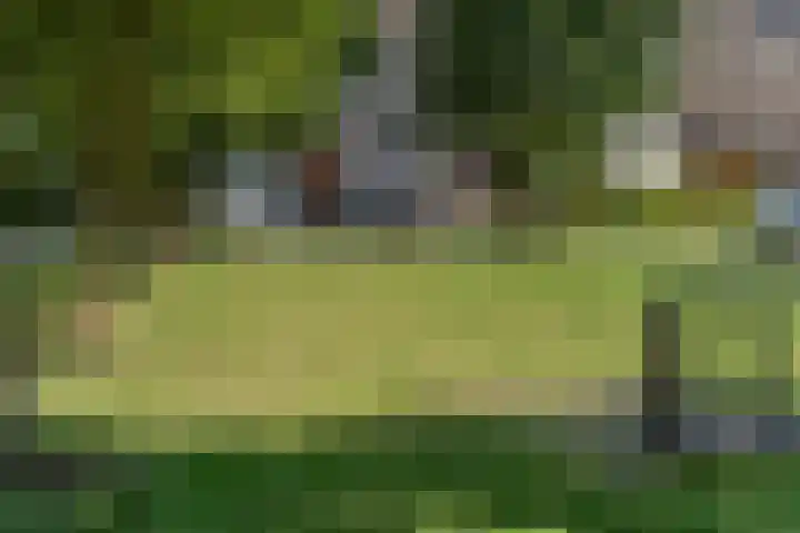 Heinelaan 8 Woudenberg thumbnail 47