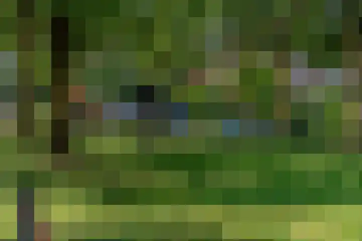 Heinelaan 8 Woudenberg thumbnail 48