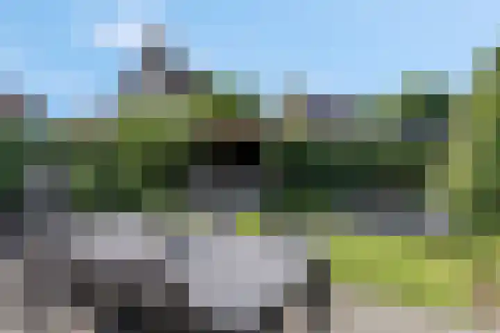Heinelaan 8 Woudenberg thumbnail 5