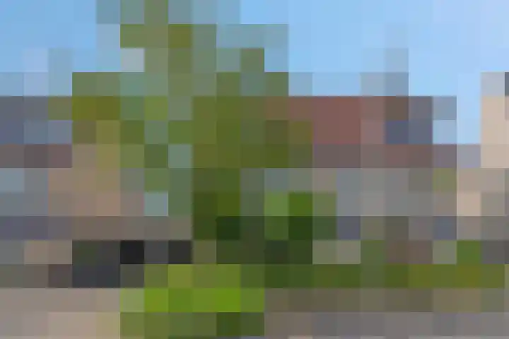 Heinelaan 8 Woudenberg thumbnail 7