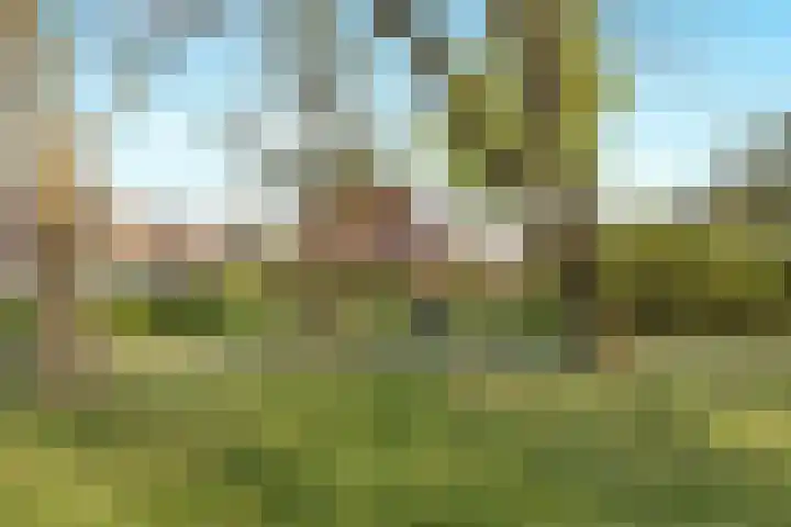 Heinencamp 14 Nijkerk thumbnail 31