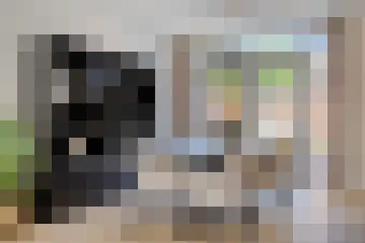Heinencamp 30 Nijkerk thumbnail 11