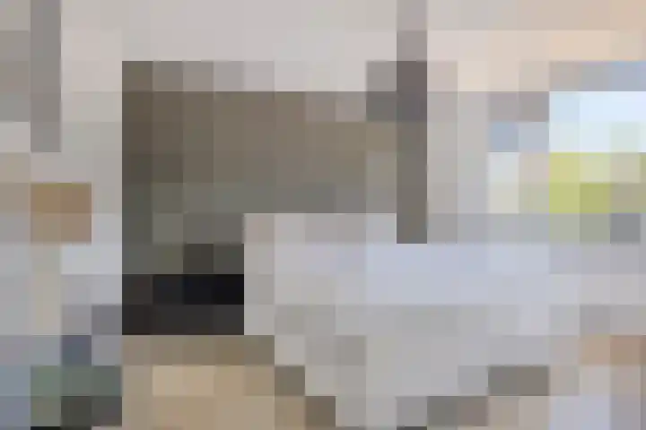 Heinencamp 30 Nijkerk thumbnail 18