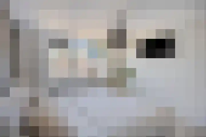 Heinencamp 30 Nijkerk thumbnail 19